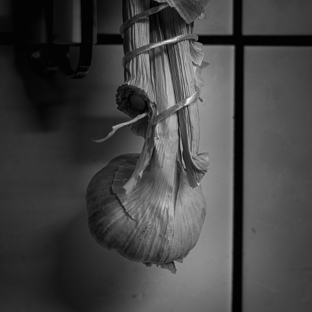 Grid gallery image
